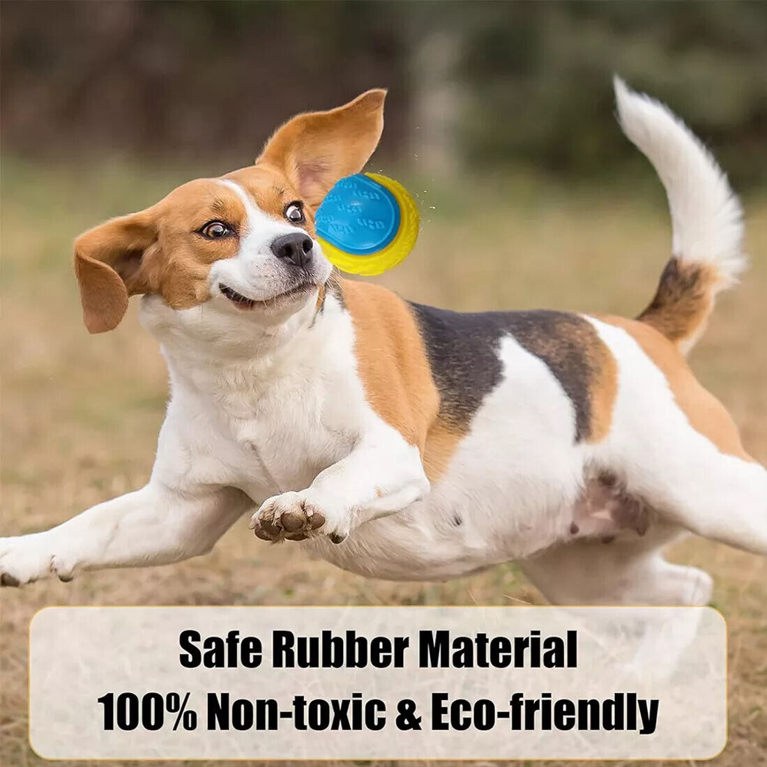 8 PCS Scooby-Doo Durable Squeaky Set Of Dog Balls For Teeth Cleaning Interactive